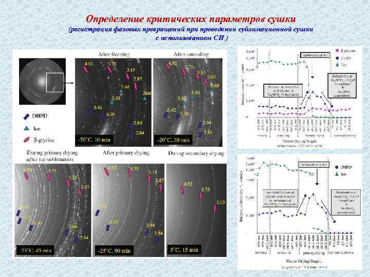 Определение критических параметров сушки (регистрация фазовых превращений при проведении сублимационной сушки с использованием СИ