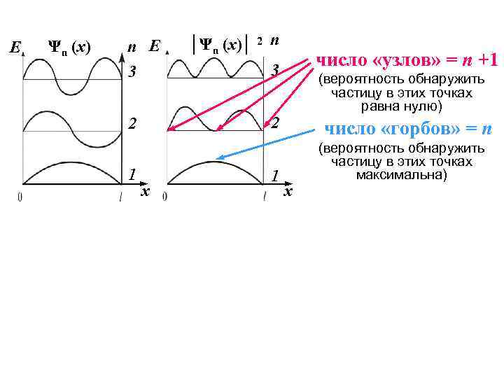 E Ψn (x) n E 3 число «узлов» = n +1 3 (вероятность обнаружить