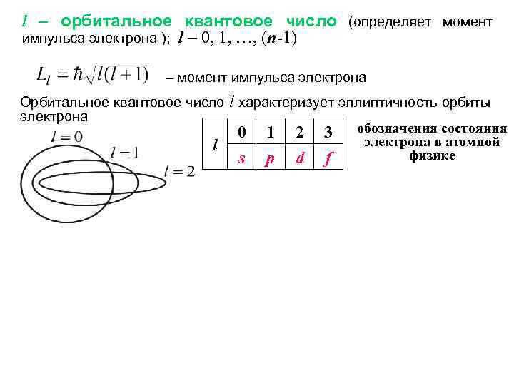 l – орбитальное квантовое число (определяет момент импульса электрона ); l = 0, 1,