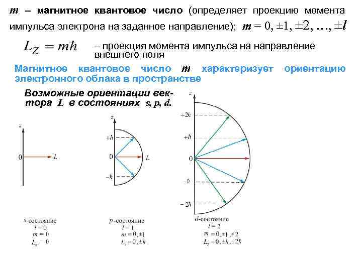 Определить число проекций. Проекция момента импульса. Проекция момента импульса электрона. Магнитное квантовое число определяет проекцию момента импульса. Магнитное квантовое число m определяет.