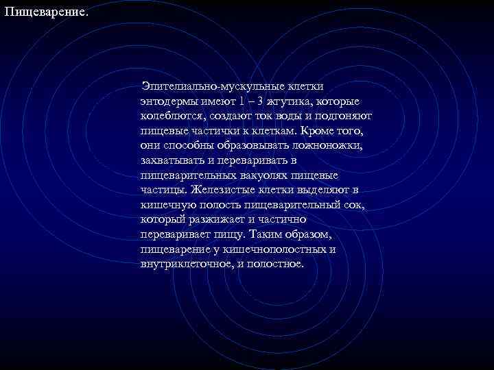 Пищеварение. Эпителиально-мускульные клетки энтодермы имеют 1 – 3 жгутика, которые колеблются, создают ток воды