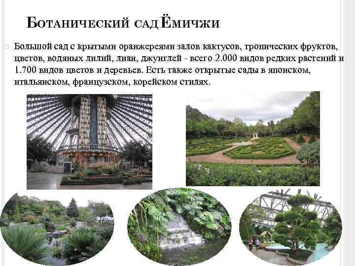  БОТАНИЧЕСКИЙ САД ЁМИЧЖИ Большой сад с крытыми оранжереями залов кактусов, тропических фруктов, цветов,