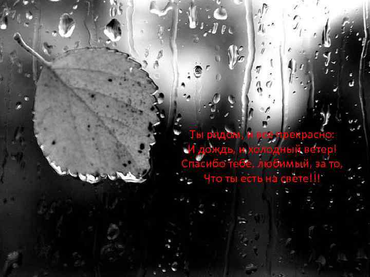 Ты рядом, и все прекрасно: И дождь, и холодный ветер! Спасибо тебе, любимый, за