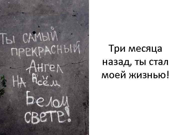 Три месяца назад, ты стал моей жизнью! 