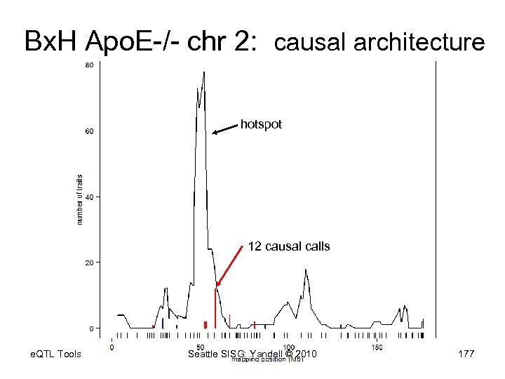 Bx. H Apo. E-/- chr 2: causal architecture hotspot 12 causal calls e. QTL