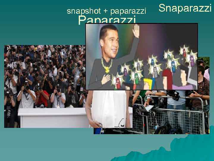 snapshot + paparazzi Paparazzi Snaparazzi 