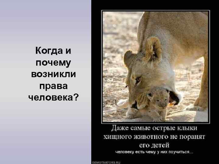 Когда и почему возникли права человека? 