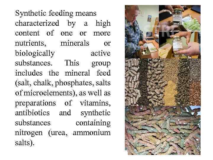 Synthetic feeding means characterized by a high content of one or more nutrients, minerals