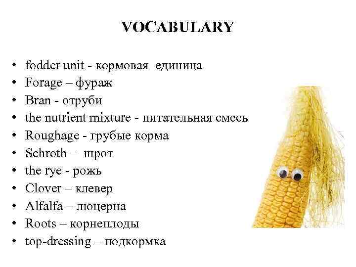 VOCABULARY • • • fodder unit - кормовая единица Forage – фураж Bran -