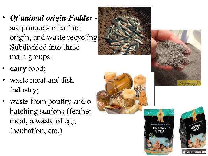  • Of animal origin Fodder are products of animal origin, and waste recycling.
