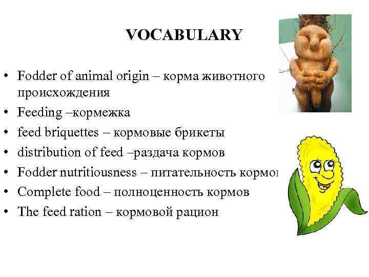 VOCABULARY • Fodder of animal origin – корма животного происхождения • Feeding –кормежка •