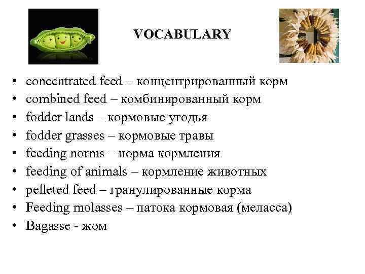 VOCABULARY • • • concentrated feed – концентрированный корм combined feed – комбинированный корм