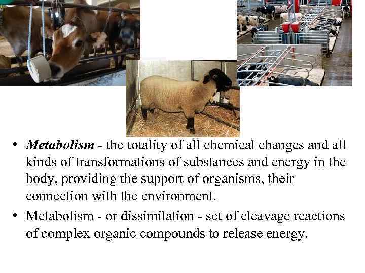  • Metabolism - the totality of all chemical changes and all kinds of