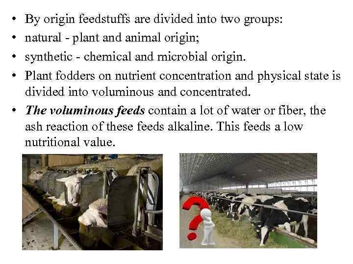  • • By origin feedstuffs are divided into two groups: natural - plant