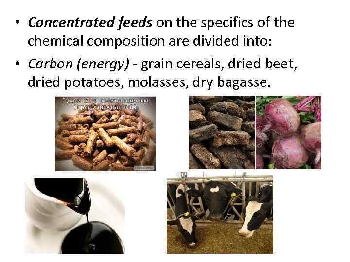  • Concentrated feeds on the specifics of the chemical composition are divided into: