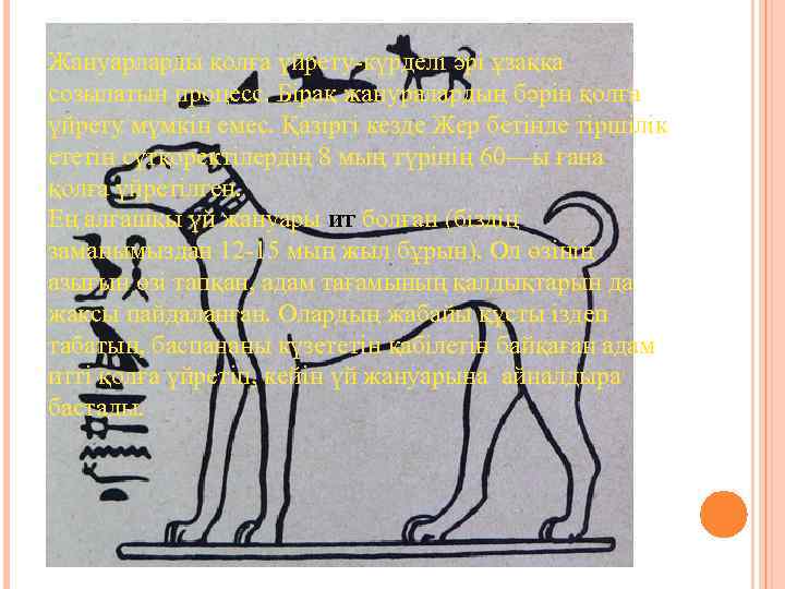Жануарларды қолға үйрету-күрделі әрі ұзаққа созылатын процесс. Бірақ жануралардың бәрін қолға үйрету мүмкін емес.