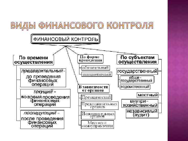 Общая характеристика органов осуществляющих финансовую деятельность. Виды финансового контроля. Виды государственного финансового контроля. Независимый финансовый контроль. Характеристика видов финансового контроля.