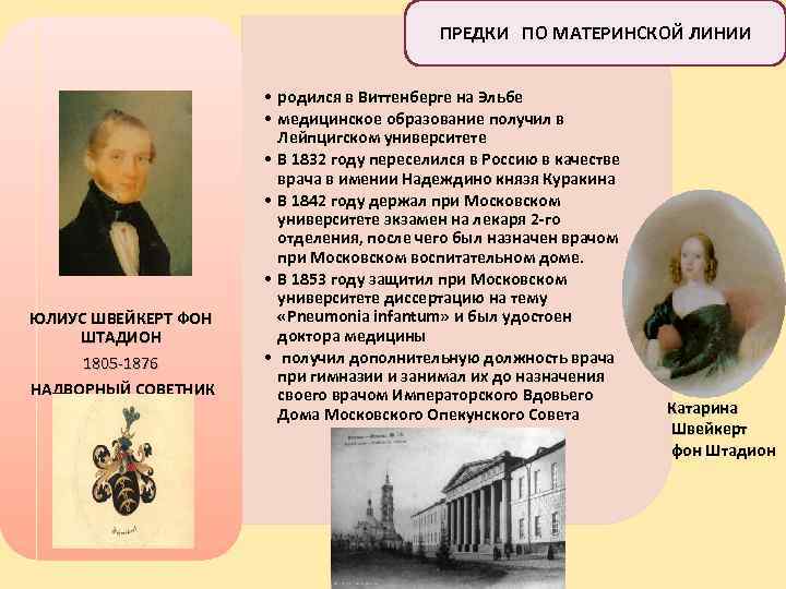 ПРЕДКИ ПО МАТЕРИНСКОЙ ЛИНИИ ЮЛИУС ШВЕЙКЕРТ ФОН ШТАДИОН 1805 -1876 НАДВОРНЫЙ СОВЕТНИК • родился
