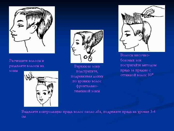 Расчешите волосы и разделите волосы на зоны Верхнюю зону подстригите, подравнивая длину по уровню