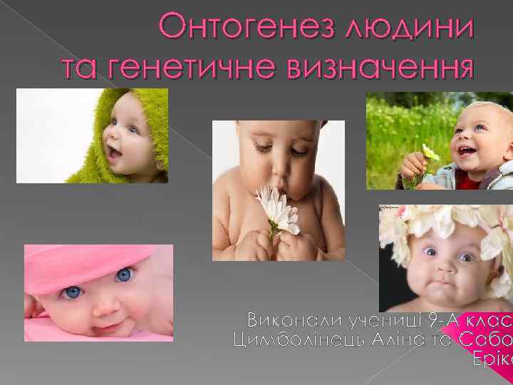 Онтогенез людини та генетичне визначення статі Виконали учениці 9 -А клас Цимболінець Аліна та