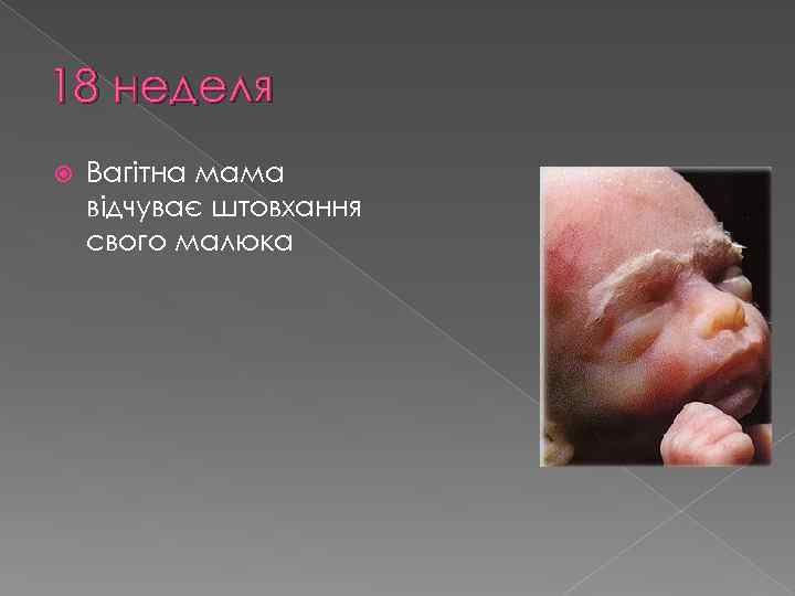 18 неделя Вагітна мама відчуває штовхання свого малюка 