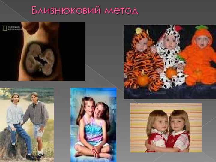 Близнюковий метод 