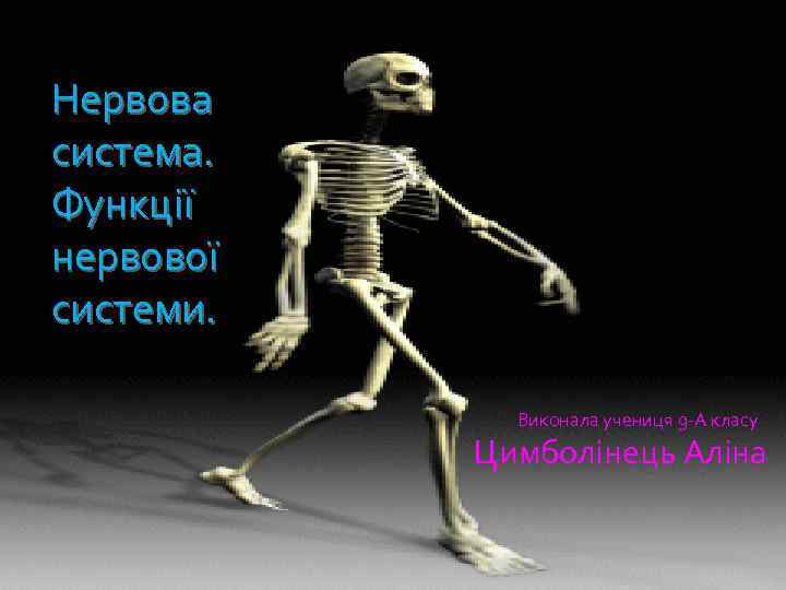 Нервова система. Функції нервової системи. Виконала учениця 9 -А класу Цимболінець Аліна 