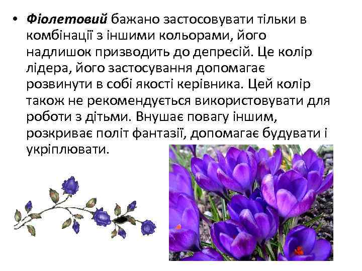 • Фіолетовий бажано застосовувати тільки в комбінації з іншими кольорами, його надлишок призводить