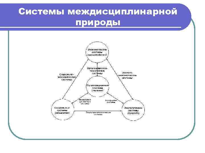 Системы междисциплинарной природы 