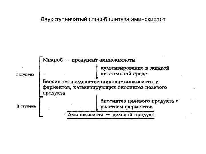 Схема микробиологического синтеза аминокислот