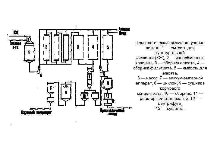 Технологическая схема лизина