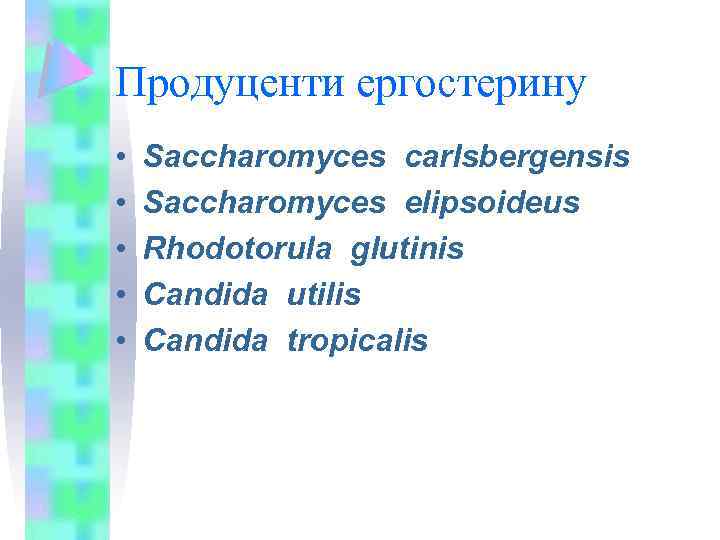 Продуценти ергостерину • • • Saccharomyces carlsbergensis Saccharomyces elipsoideus Rhodotorula glutinis Сandida utilis Candida