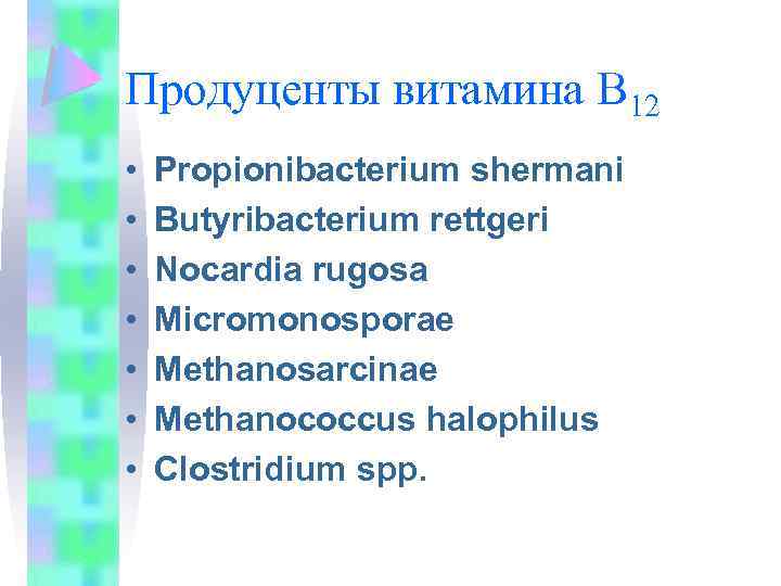 Продуценты витамина В 12 • • Propionibacterium shermani Butyribacterium rettgeri Nocardia rugosa Micromonosporae Methanosarcinae