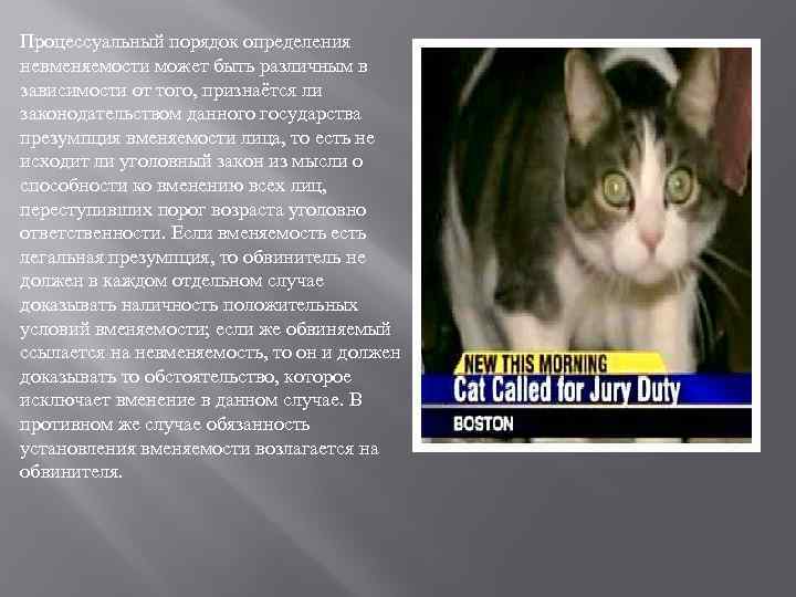 Процессуальный порядок определения невменяемости может быть различным в зависимости от того, признаётся ли законодательством