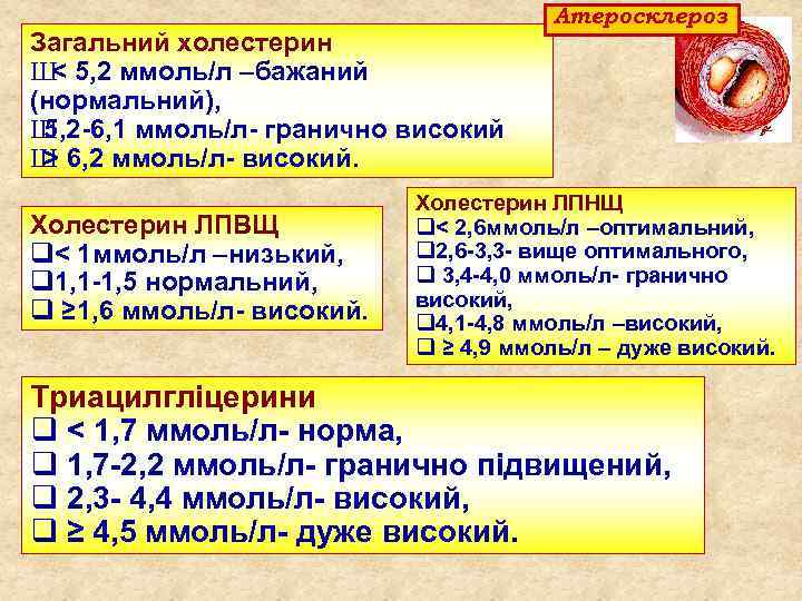 Загальний холестерин Ш 5, 2 ммоль/л –бажаний < (нормальний), Ш 5, 2 6, 1