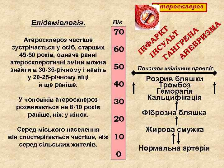 Атеросклероз Епідеміологія. Атеросклероз частіше зустрічається у осіб, старших 45 50 років, одначе ранні атеросклеротичні