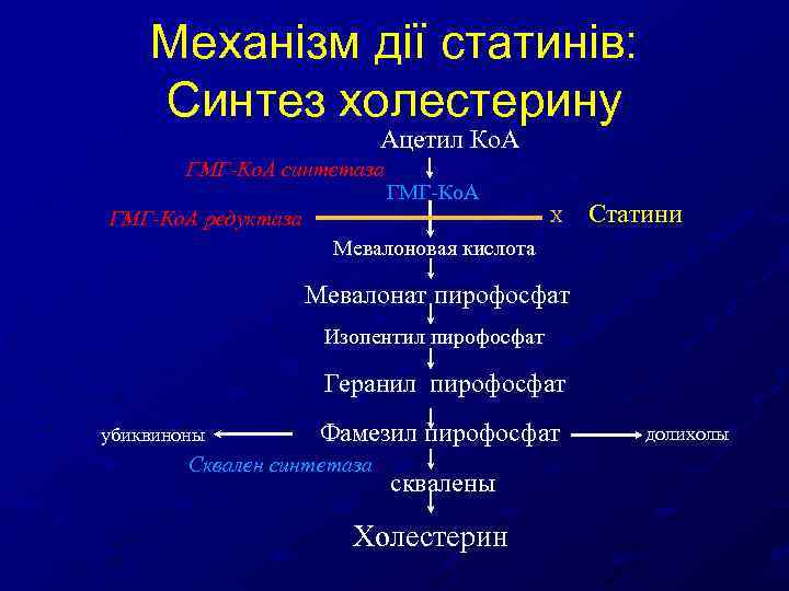 Механізм дії статинів: Синтез холестерину Ацетил Ко. А ГМГ-Ко. А синтетаза ГМГ-Ко. А редуктаза