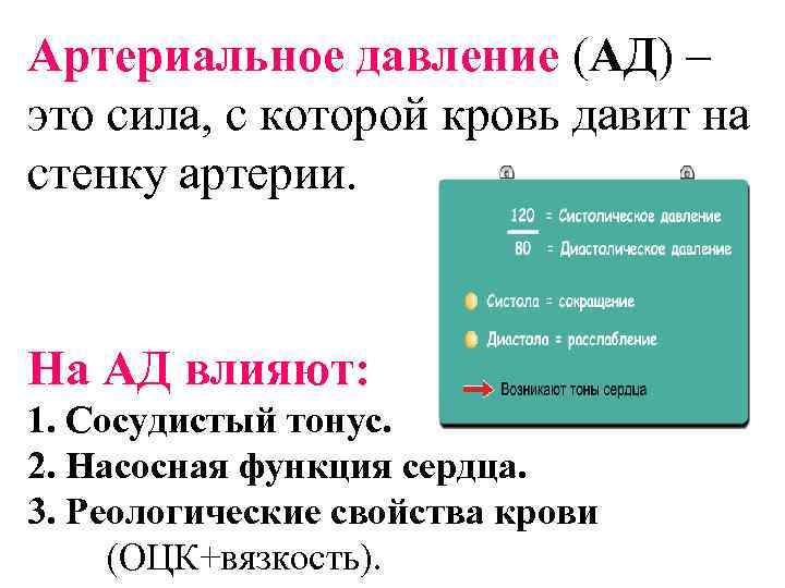 Артериальное давление (АД) – это сила, с которой кровь давит на стенку артерии. На