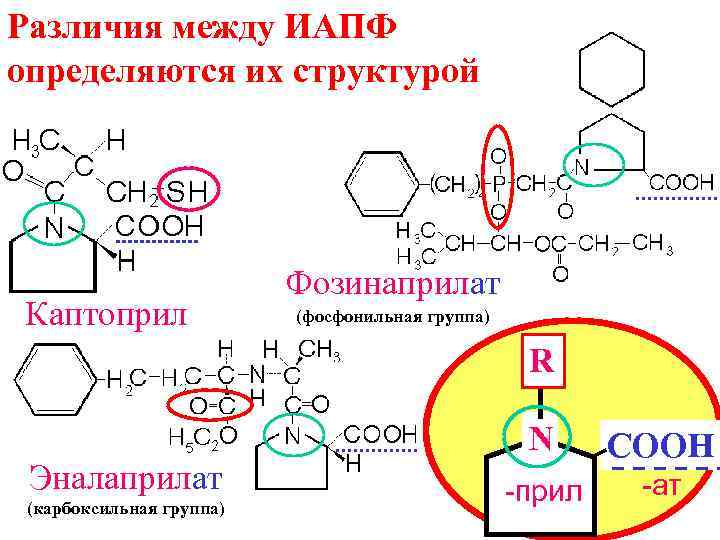 Различия между ИАПФ определяются их структурой Каптоприл Фозинаприлат (фосфонильная группа) R Эналаприлат (карбоксильная группа)