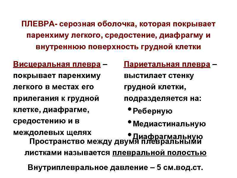 ПЛЕВРА- серозная оболочка, которая покрывает паренхиму легкого, средостение, диафрагму и внутреннюю поверхность грудной клетки
