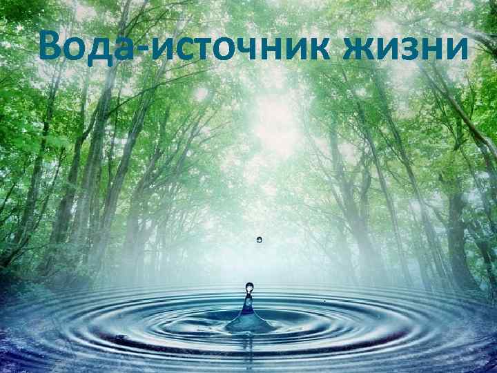 Вода-источник жизни 