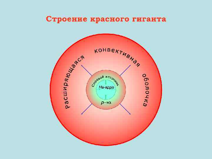 Внутреннее строение звезд составление систематизирующей схемы