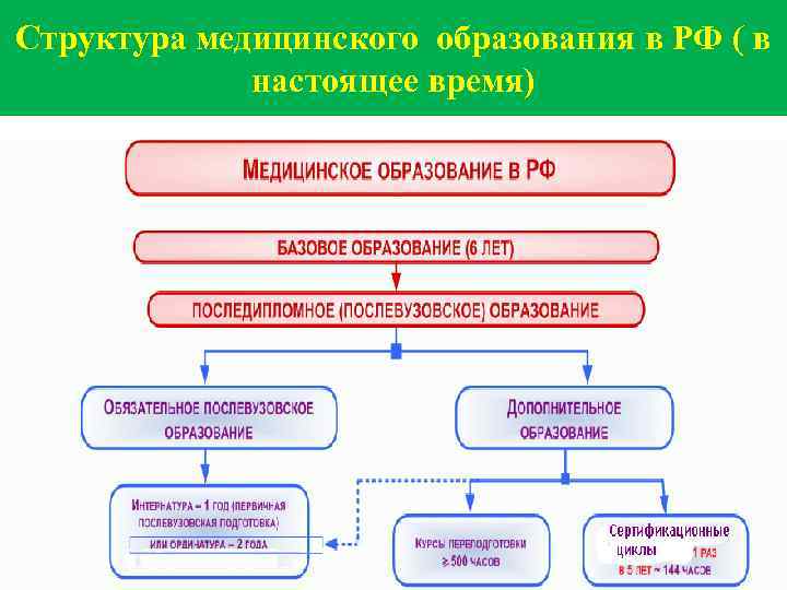 Структура медицинского образования в РФ ( в настоящее время) 