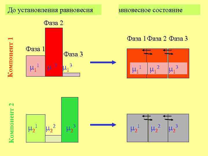 До установления равновесия Равновесное состояние Компонент 2 Компонент 1 Фаза 2 Фаза 1 Фаза