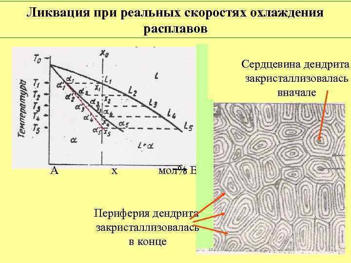 Ликвация при реальных скоростях охлаждения расплавов Сердцевина дендрита закристаллизовалась вначале А х мол% В