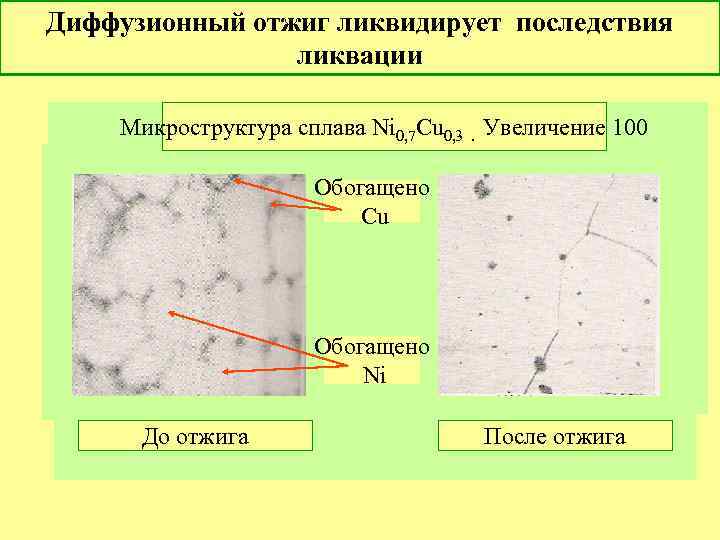 Диффузионный отжиг ликвидирует последствия ликвации Микроструктура сплава Ni 0, 7 Cu 0, 3. Увеличение