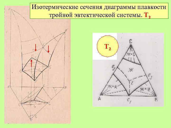 Изотермические сечения диаграммы плавкости тройной эвтектической системы. Т 2 