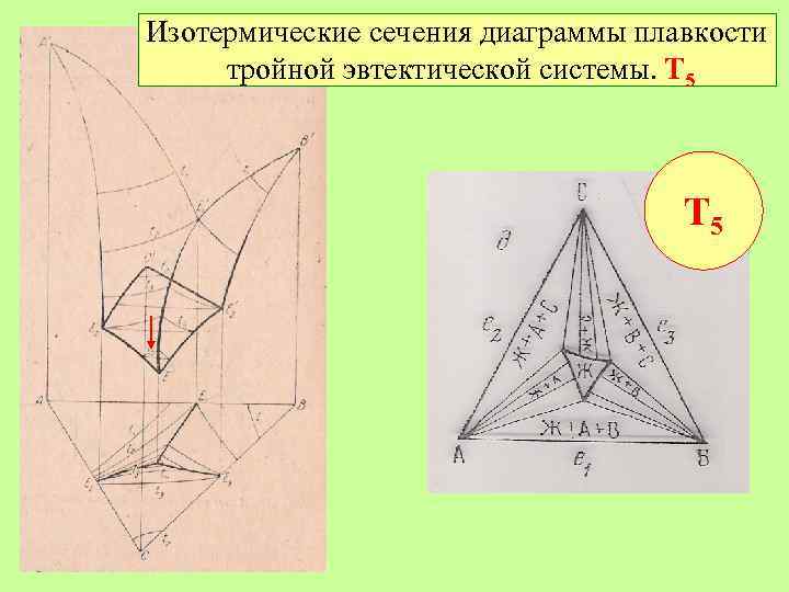 Изотермические сечения диаграммы плавкости тройной эвтектической системы. Т 5 