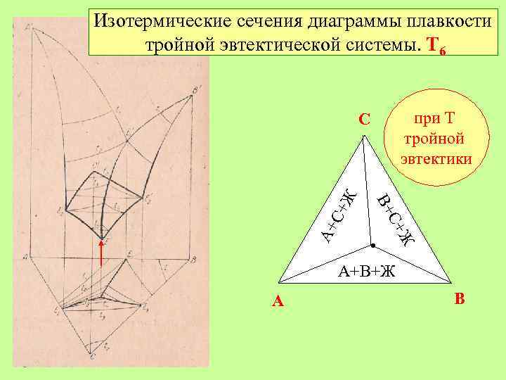 Изотермические сечения диаграммы плавкости тройной эвтектической системы. Т 6 при Т тройной эвтектики А+