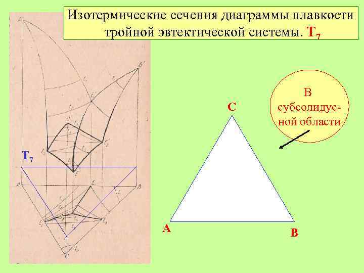 Изотермическое сечение тройной диаграммы